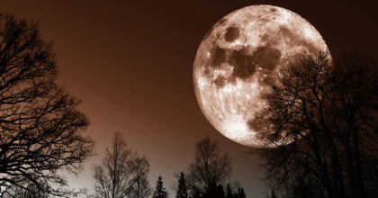 הירח הכי גדול מאז 1948 – גלו מתי תוכלו לראות אותו