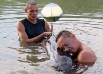 גולשים שמעו גור דולפין בוכה לעזרה, ומיהרו למקום כדי להציל את חייו