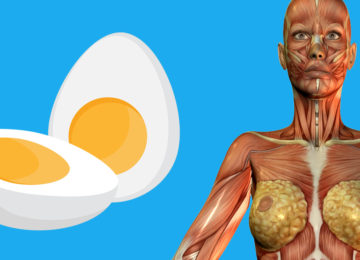 9 דברים שיקרו לגוף שלכם אם תתחילו לאכול 2 ביצים ביום