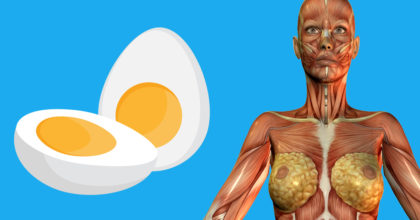 9 דברים שיקרו לגוף שלכם אם תתחילו לאכול 2 ביצים ביום