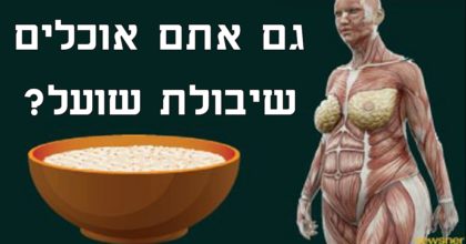 מדענים חושפים: זה מה שקורה לגוף שלכם כשאתם מתחילים לאכול שיבולת שועל כל יום