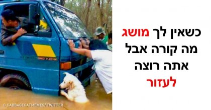 23 תמונות שיחממו לכם את הלב ויעשו לכם את היום