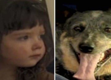 הילדה בת ה-3 נעלמה ביער – 15 שעות מאוחר יותר המשטרה ראתה את מה שעשה הכלב ומהירה אליו
