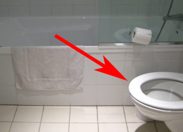 כולם עושים את הטעות הזו שמפזרת מיליוני חיידקים בשירותים. זה מה שעליכם לעשות במקום