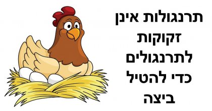 12 עובדות כל כך ברורות שלאיש לא היה מושג לגביהן