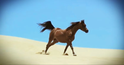 מצלמת הילוך איטי הוצבה מול הסוסים האלה. מה שהיא תיעדה היה מרהיב ועוצר נשימה