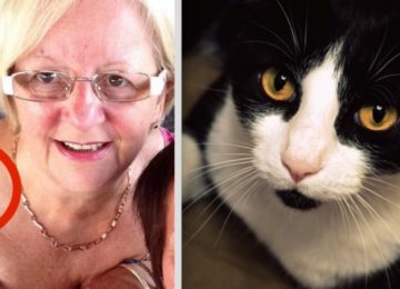 החתול של אישה בת 64 החל להתנהג בצורה מוזרה – אך אז היא הבינה שהוא מנסה לומר לה משהו