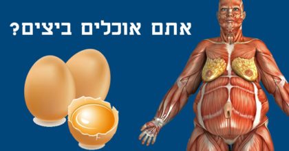 רופאים חושפים: זה קורה בגוף שלכם כשאתם מתחילים לאכול שתי ביצים ביום