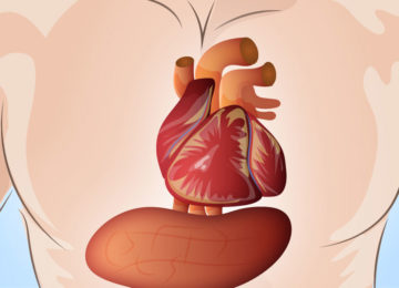 הגוף שלכם מזהיר אתכם חודש אחד לפני התקף לב – הנה הסוד שכולם צריכים להכיר