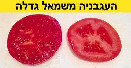 32 דברים נדירים שאנשים מעטים ראו במציאות