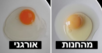 11 דרכים לבדוק כמה טוב האוכל שלכם