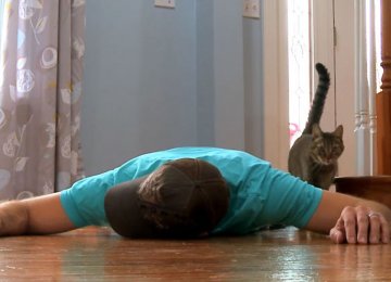 הוא זייף את מותו כדי לבדוק איך החתול שלו יגיב – לתגובה הזאת הוא לא ציפה